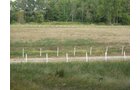 Property photo 55 - 80 Acres Offered in 4 Tracts - Horse Farm